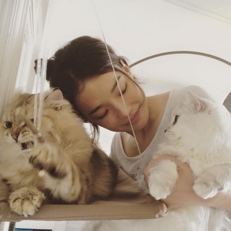 shuqi_facebook_juin_2015_58